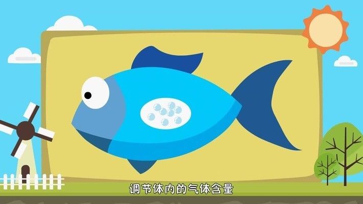 龍魚死了是沉底還是浮上來(lái)的原因：龍魚在死亡后是沉底還是浮上來(lái)