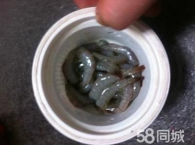 龍魚只咬碎,不吞食可以嗎：龍魚只咬碎食物而不吃怎么辦