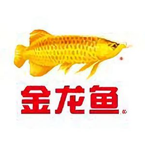 金龍魚頭像好不好：金龍魚頭像在不同的語境中有不同的寓意在風水文化中有不同的寓意 龍魚百科 第2張