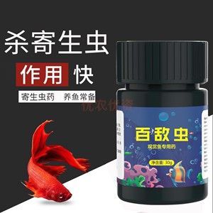 龍魚如何殺蟲用什么藥好：龍魚被寄生蟲感染怎么辦 龍魚百科