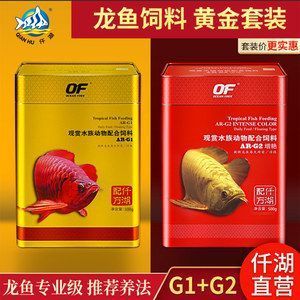 龍魚怕光,開燈就不動(dòng)了怎么辦：龍魚為什么怕光？