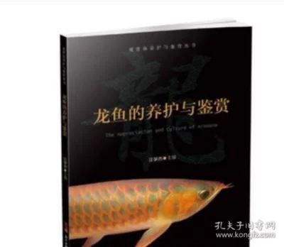 龍魚的養(yǎng)殖技術(shù)與管理論文范文怎么寫：龍魚的養(yǎng)殖技術(shù)與管理論文范文怎么寫龍魚養(yǎng)殖技術(shù)與管理論文范文 龍魚百科 第2張