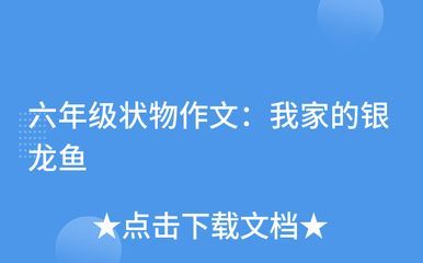 7000萬的紅龍魚：中國最貴的“紫艷血紅龍”，被日本富商60萬美元購買