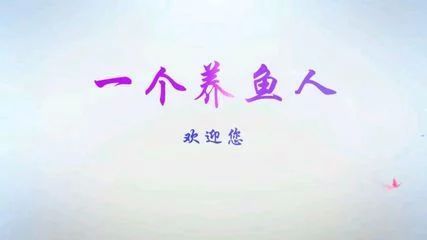 龍魚的作文怎么寫300字：龍魚的作文怎么寫300字，