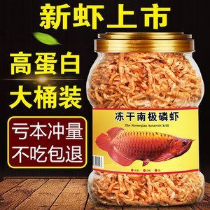 龍魚不吃蝦干：龍魚可以吃蝦干嗎？ 龍魚百科 第2張