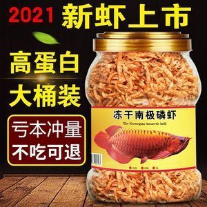 龍魚不吃蝦干：龍魚可以吃蝦干嗎？ 龍魚百科 第1張