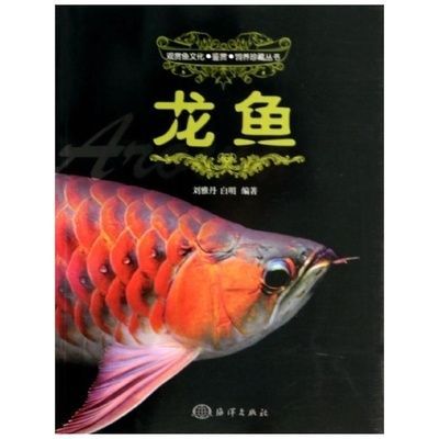 龍魚說明文500字免費(fèi)閱讀：龍魚的相關(guān)知識(shí)