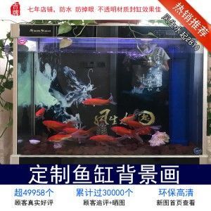 龍魚(yú)缸封缸：封缸是一種有效的治療龍魚(yú)掉眼的方法 龍魚(yú)百科