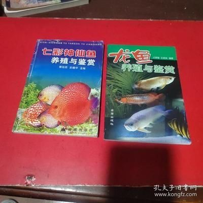 龍魚配七彩神仙好嗎怎么養(yǎng)：龍魚和七彩神仙魚可以混養(yǎng)嗎