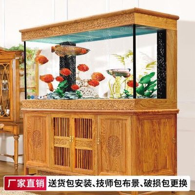 龍魚是啥魚：龍魚是一種什么樣的魚？