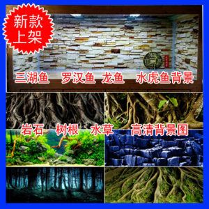 龍魚和虎魚混養(yǎng)用什么背景顏色：龍魚和虎魚混養(yǎng)魚缸背景顏色對比龍魚和虎魚的飼養(yǎng)方法