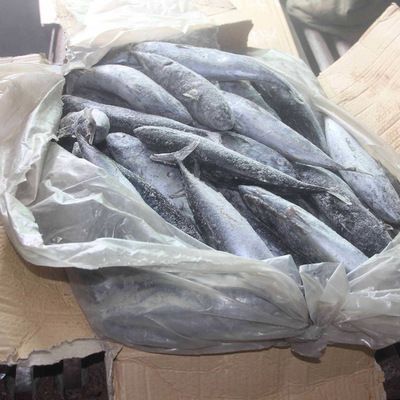 可以把飼料魚(yú)都放入龍魚(yú)缸么嗎：關(guān)于龍魚(yú)喂養(yǎng)的問(wèn)題 龍魚(yú)百科 第3張