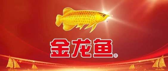 紅龍魚和金龍魚混養(yǎng)好不好呀：紅龍魚和金龍魚和金龍魚混養(yǎng)注意事項