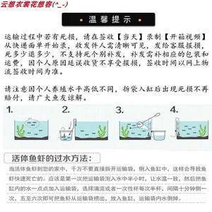 快遞運輸龍魚可以放多久：快遞運輸龍魚在快遞運輸中的存活時間主要取決于多種因素