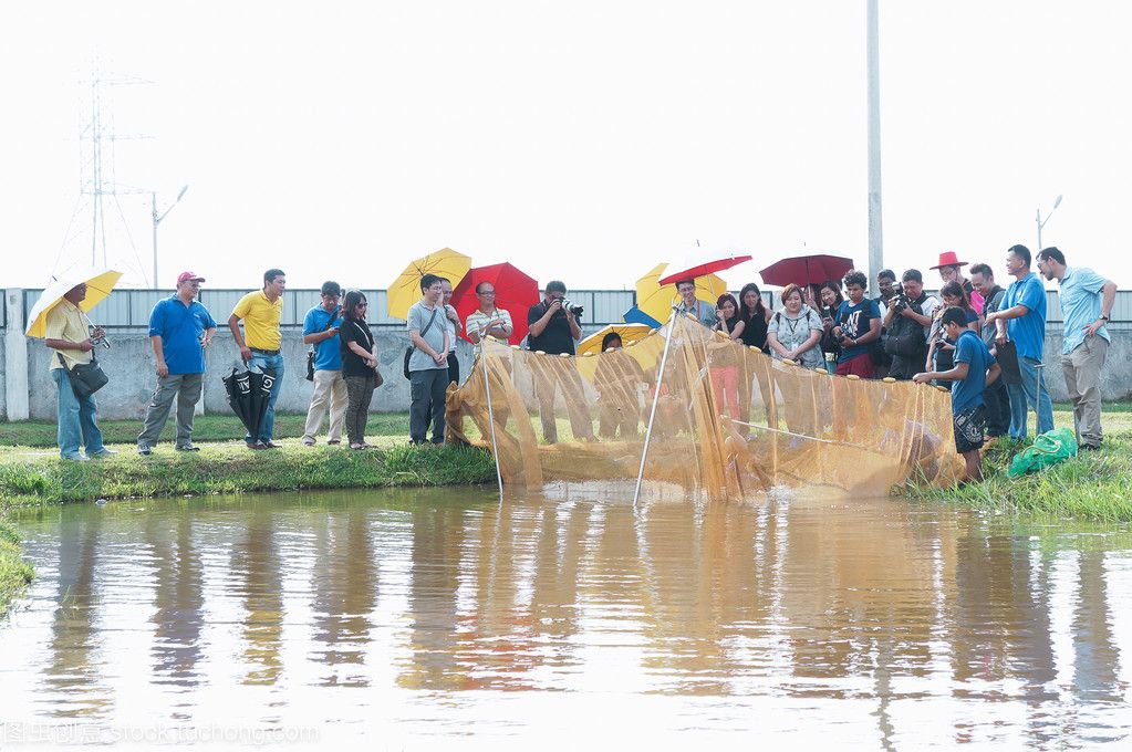 金龍魚張嘴是什么原因引起的視頻：金龍魚在水面上張嘴呼吸是怎么回事金龍魚吧】百度貼吧 龍魚百科 第3張