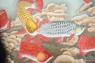 金龍魚(yú)豎著游怎么回事：金龍魚(yú)豎著游是什么梗