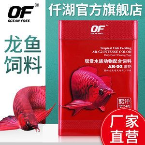 紅龍魚飼料金龍魚能吃嗎：紅龍魚和金龍魚的飼養(yǎng)差異