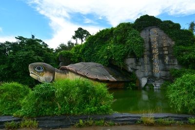 廣東湛江龍魚之謎：廣東湛江湖光巖之謎