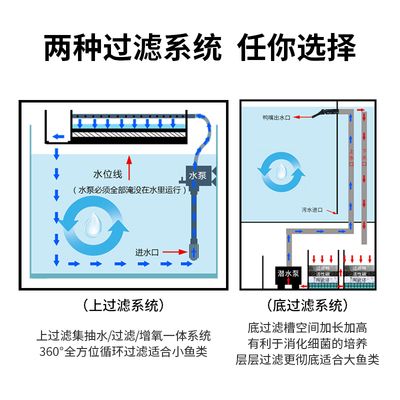 龍魚缸水位多高合適：龍魚缸水位多少合適