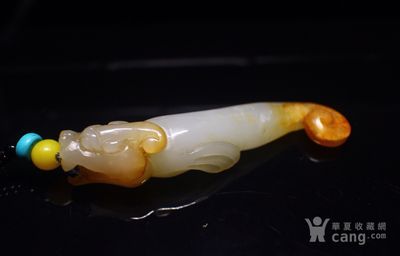 金龍魚吃的多嗎怎么樣：金龍魚吃多了會怎樣 龍魚百科 第2張