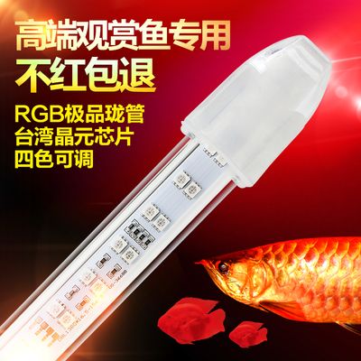 金龍魚專用燈哪個(gè)牌子好點(diǎn)：金龍魚專用燈品牌排名 龍魚百科 第2張