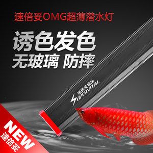 金龍魚專用燈哪個(gè)牌子好點(diǎn)：金龍魚專用燈品牌排名 龍魚百科 第3張