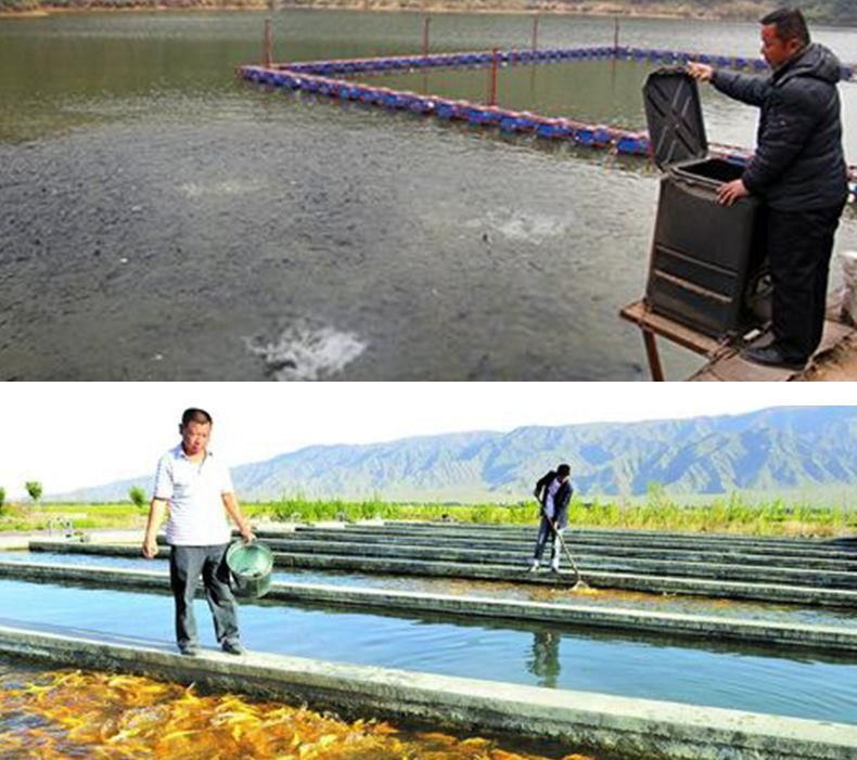 國內(nèi)龍魚養(yǎng)殖基地在哪里有：國內(nèi)龍魚養(yǎng)殖基地在哪里