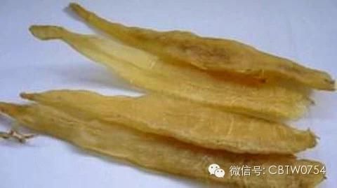 金龍魚(yú)膠功效與作用禁忌：金龍魚(yú)膠功效與作用