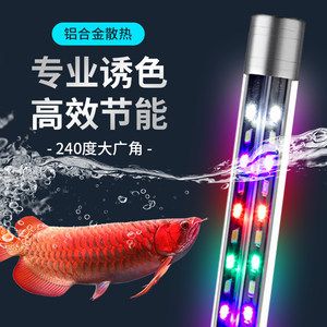 龍魚燈放在什么位置好：龍魚燈的擺放位置 龍魚百科 第2張