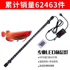 龍魚燈什么牌子最好用：龍魚燈led品牌排行榜