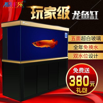 龍魚缸水位：關(guān)于龍魚缸水位的問題