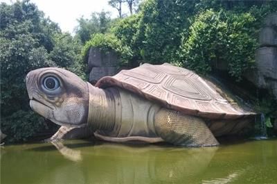 龍魚神龜傳說在線觀看高清：關(guān)于龍魚神龜傳說在線觀看高清的問題