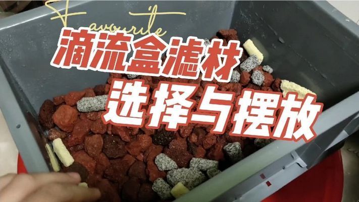 龍魚缸上濾滴流盒濾材擺放：龍魚缸上濾滴流盒濾材擺放順序