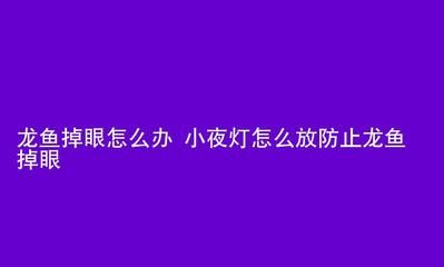 龍魚突然撞缸了怎么辦：如何預防龍魚撞缸