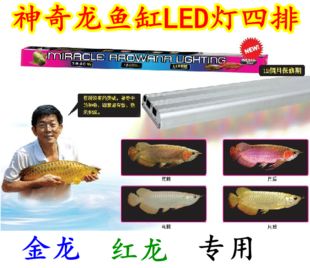 龍魚(yú)燈架好還是潛水燈好用：龍魚(yú)燈架、潛水燈哪個(gè)好 龍魚(yú)百科 第3張