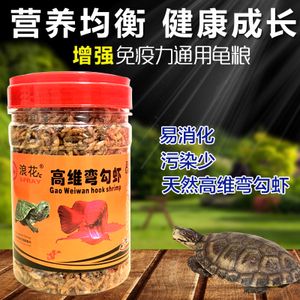 金龍魚飼料可以喂龜嗎？：烏龜可以吃魚飼料嗎 龍魚百科 第2張