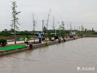 龍魚休閑垂釣基地：上海龍魚休閑垂釣基地分布在以下幾個(gè)地點(diǎn)：龍魚休閑垂釣基地 龍魚百科 第3張