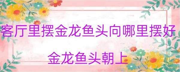 龍魚斜著身子游怎么治：龍魚斜著身子游可能由多種原因引起，治療方法也會有所不同 龍魚百科