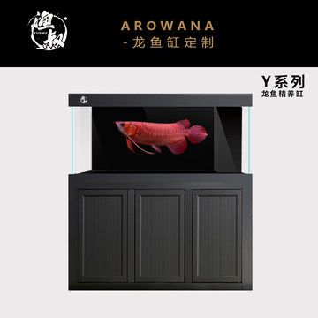 龍魚精養(yǎng)缸哪個品牌好：龍魚精養(yǎng)缸品牌推薦：nec品牌提供了專門用于龍魚的魚缸燈