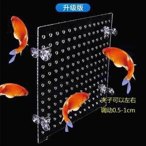 紅龍魚魚苗多少錢一個：紅龍魚魚苗價格