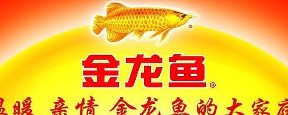 金龍魚宣傳視頻：金龍魚品牌宣傳視頻可能會(huì)展示品牌的發(fā)展歷程、產(chǎn)品優(yōu)勢(shì)