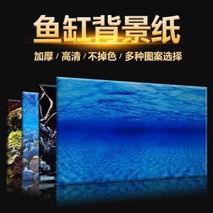 龍魚缸什么背景好：龍魚缸背景圖片龍魚缸背景圖片背景圖片背景設(shè)計(jì) 龍魚百科 第3張