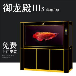 金龍魚(yú)缸寬度多少合適?。航瘕堲~(yú)缸養(yǎng)金龍魚(yú)缸寬度適合嗎金龍魚(yú)缸的寬度適合嗎