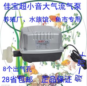 龍魚缸氧氣泵用不用一直開著：魚缸氧氣泵需要24小時開著嗎 龍魚百科 第1張