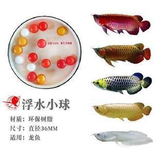 龍魚浮在水面不動怎么辦：龍魚呆在水面不動怎么辦 龍魚百科 第1張