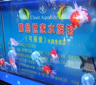 龍魚世家網(wǎng)站官網(wǎng)：珠海龍魚世家水族館