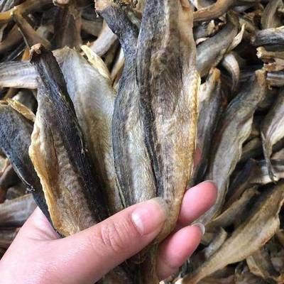 印尼龍魚批發(fā)市場在哪里有：關于印尼龍魚批發(fā)市場的一些信息