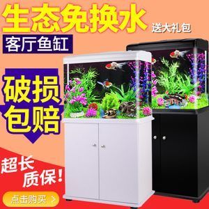 西龍魚缸怎么使用：如何正確使用和照顧西龍魚缸