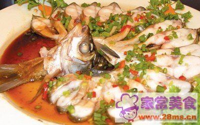 魚(yú)缸玻璃計(jì)算器龍魚(yú)之巔：關(guān)于魚(yú)缸玻璃計(jì)算器的信息 龍魚(yú)百科 第2張