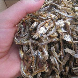 海水魚（海水魚批發(fā)）批發(fā)：海水魚批發(fā)和貨源基地信息可以從多個(gè)角度進(jìn)行闡述 龍魚百科 第3張